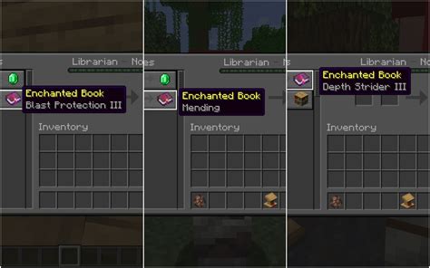 what enchanted books do librarians trade.